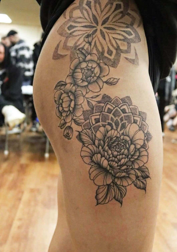Adonis Studios