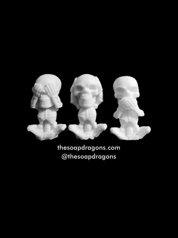 The Soap Dragons